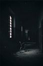 Bicycle 5 van Kirsten Scholten thumbnail