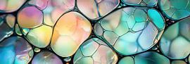 Iridescent soap bubble structure by Jonas Weinitschke