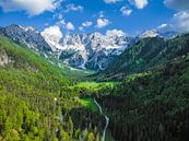Zgornje Jezersko vallei vanuit de lucht gezien in de lente van Sjoerd van der Wal Fotografie thumbnail