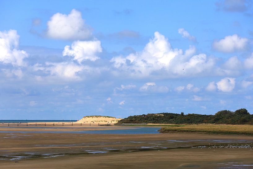 North Sea Coast in Holland by Thomas Jäger