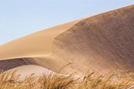 Sanddüne  von Katrin Engl Miniaturansicht