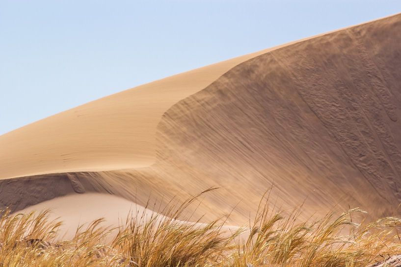 Sanddüne  von Katrin Engl