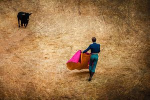 Stierengevecht Stier met Matador van Dieter Walther