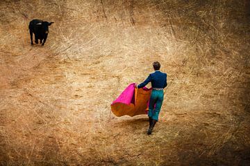 Bullfighting bull with matador by Dieter Walther