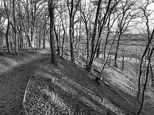 Wageningse Berg, Wageningen van Raymond Wijngaard