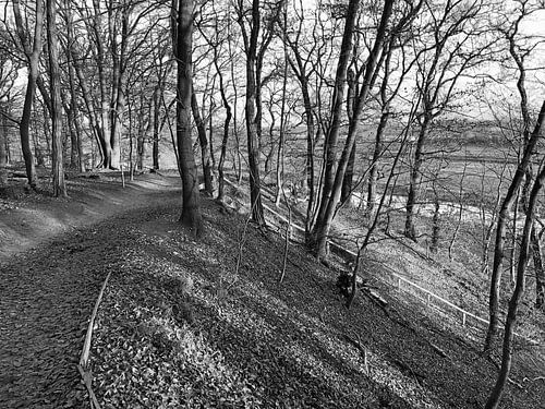 Wageningse Berg, Wageningen