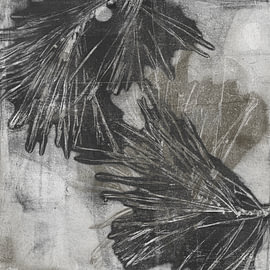 Monochrome Botanical Art – Organic Abstract Nature Vorms