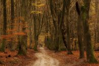 Herbst von Moetwil en van Dijk - Fotografie Miniaturansicht