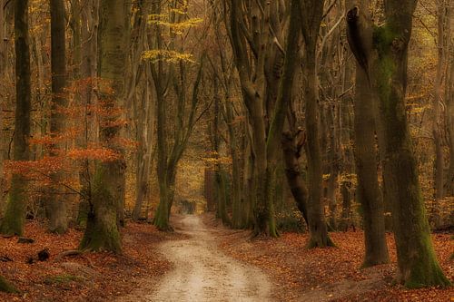 Herfst