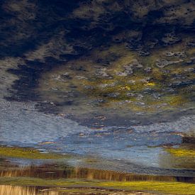 Monet like landscape by Marian Tan-Burghouwt
