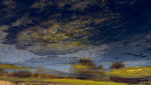 Monet like landschap van Marian Tan-Burghouwt