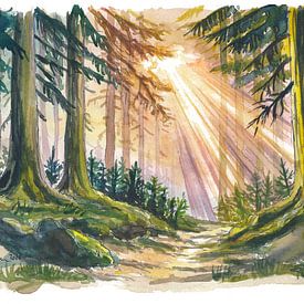 Sonnenlicht im Schwarzwald von Markus Bleichner