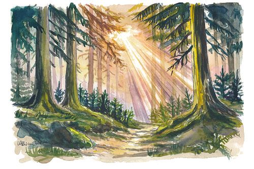 Sunlight in the Black Forest by Markus Bleichner