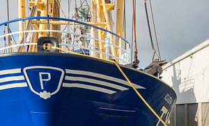 Fischereihafen IJmuiden