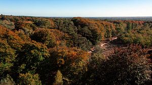 Couleurs d'automne sur la crête de la colline d'Utrecht