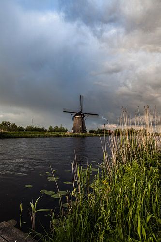 Kinderdijk molen