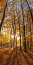 Herbst auf Texel. von Justin Sinner Pictures ( Fotograaf op Texel) Miniaturansicht