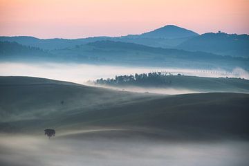 Italië Toscane Val d'Orcia met heuvels in de zachte mist in de ochtend van Jean Claude Castor