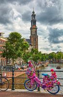 Prachtig uitzicht op de Westertoren op een mooie zomerse dag in 2020  summer day in Amsterdam, w
