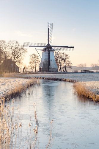 Die Elefantenmühle im Winter