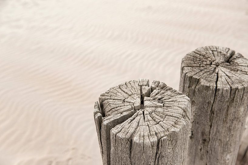 Verwitterte Pfähle am Strand. von Ron van der Stappen