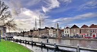 Spaarne River (2020)