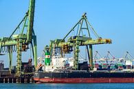 Bulkschip gevuld met kolen lost zijn lading in de haven van Sjoerd van der Wal Fotografie thumbnail