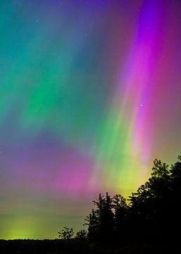 Aurora rainbow van Rene Wolf