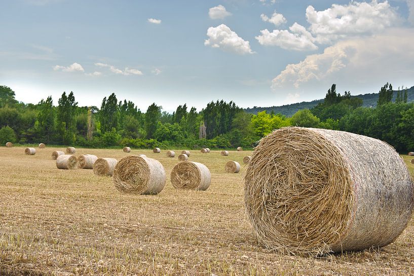 Provence Stro land akker van Rene du Chatenier