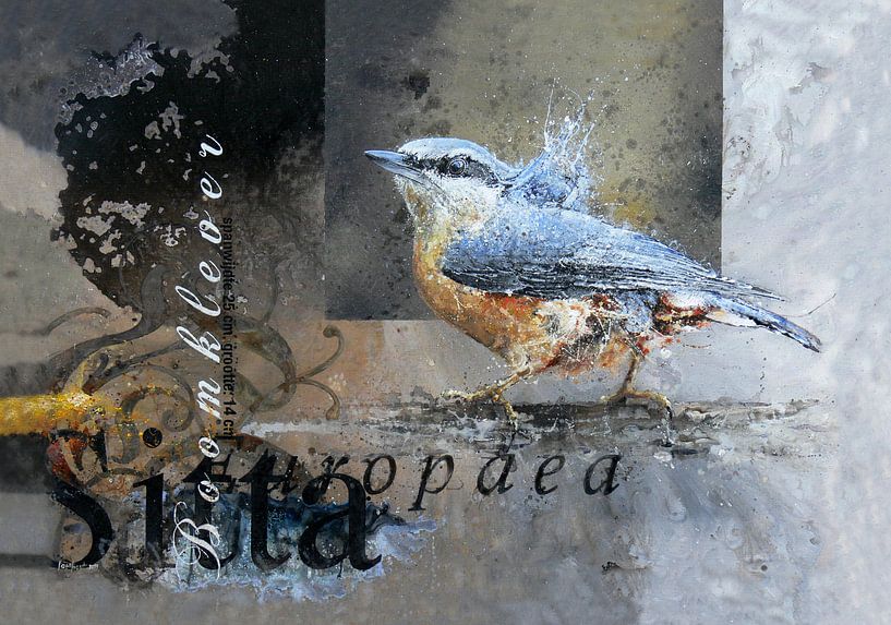 Nuthatch by Peter van Loenhout