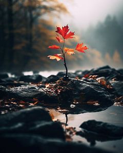 Herbstspaziergang