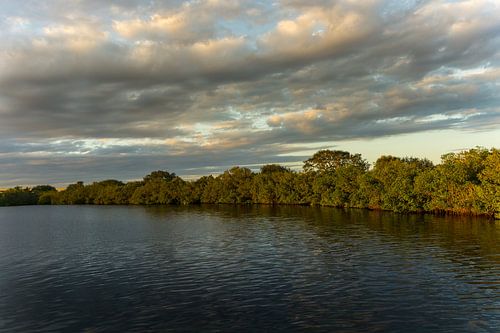 Verenigde Staten, Florida, Zonsondergang bij mangrovebos en meer met bewolkte lucht