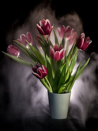 tulpen stilleven "in mist gehuld"