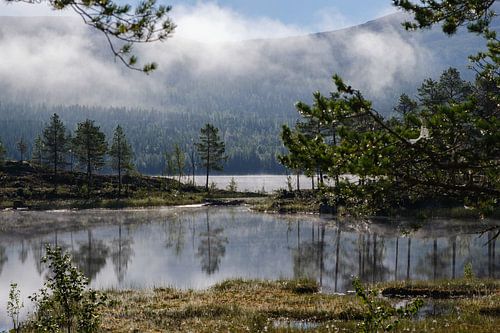 Ochtendnevel aan een prachtige meer