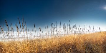 Strand aan zee met duinen in het zonlicht van Voss Fine Art Fotografie