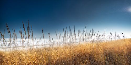 Strand aan zee met duinen in het zonlicht