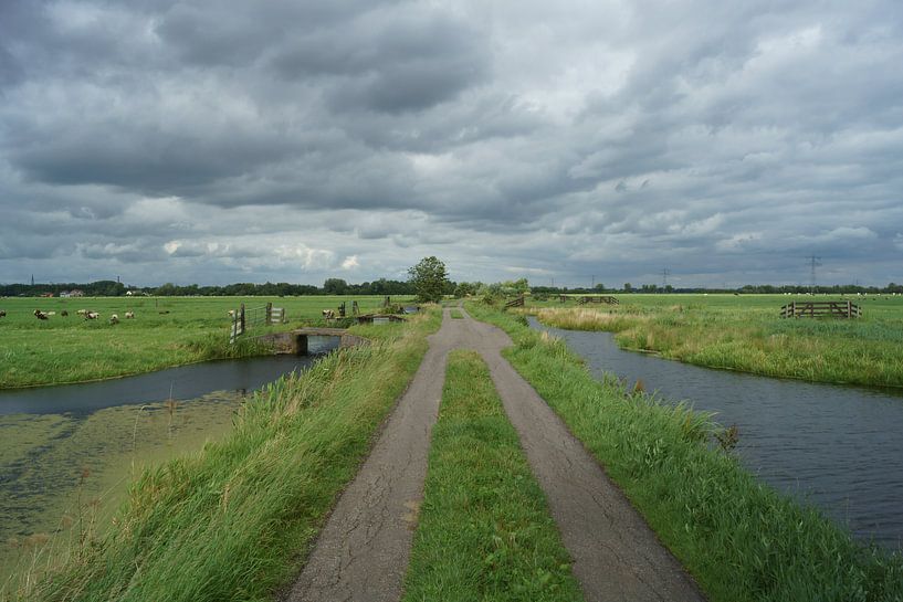 Krimpenerwaard van Michel van Kooten