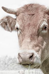 Halloeeeeei! Lust auf etwas Milch.