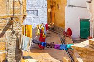Laundresses in Rajasthan by Jan Schuler thumbnail