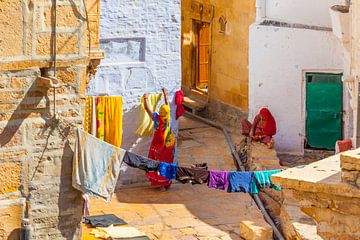 Wasserijen in Rajasthan van Jan Schuler