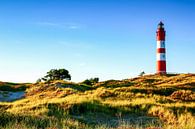 Koning van de Duinen van Werner Reins thumbnail