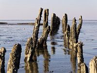 groyne walk