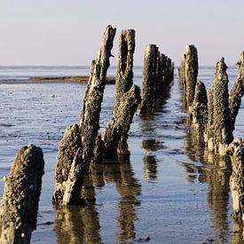 krioelwandeling van Lea-Marie Littwin