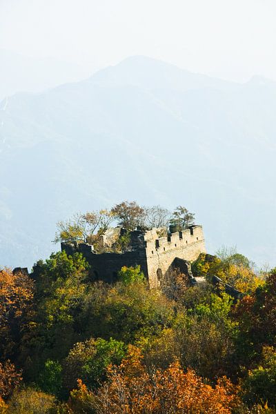 Tree-covered tower. Overgrown with trees the tower of the great Chinese wall among the autumn forest by Michael Semenov