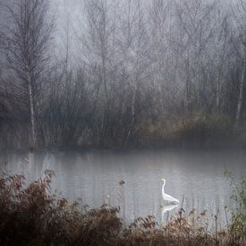 Heron in the fog by Esther Hereijgers
