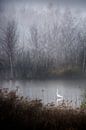 Heron in the fog by Esther Hereijgers thumbnail