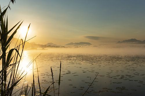 Sunrise at Lake Hopfensee