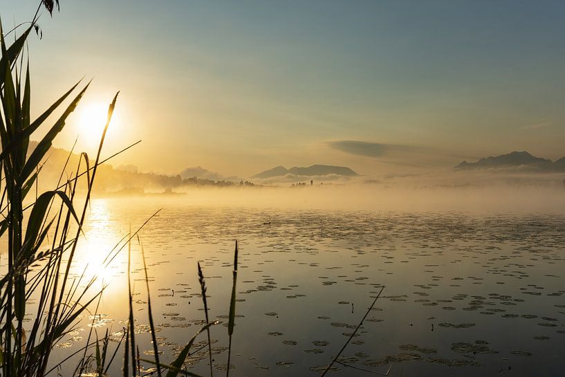 Zonsopgang bij het Hopfensee meer van Walter G. Allgöwer