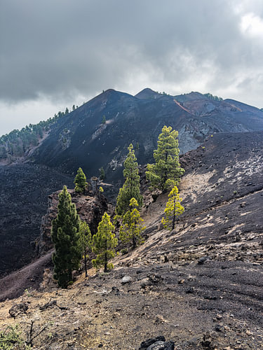 Der Vulkan El Duraznero auf La Palma