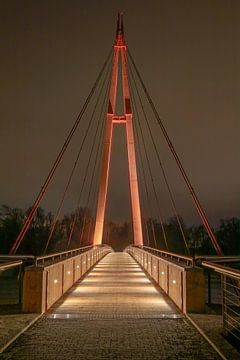 Magdeburg - Rotehorn bridge at the Cracau waterfall by t.ART